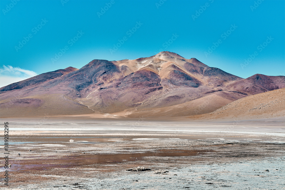 Fototapeta premium Laguna colorada in Bolivia, Amazing landscape