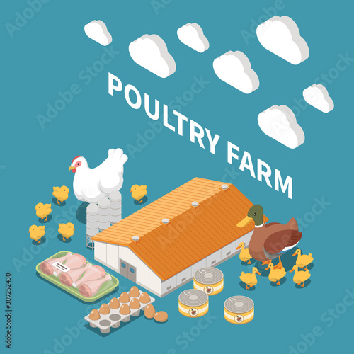 Poultry Farm Isometric Composition