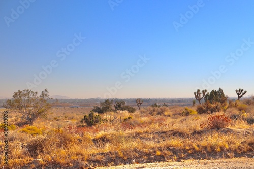 View of desert landscape in Littlerock California