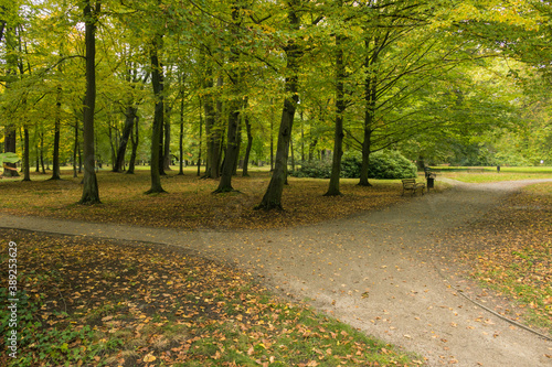 Park dworski w miasteczku Iłowa w Polsce