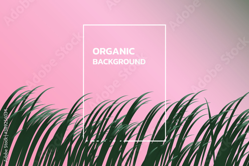 Abstract plants vector. minimal tone pink and dark green.
Organic background. Less is more. design esp10.