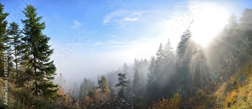 Panorama from the sea of fog from Uetliberg on a beautiful autumn day