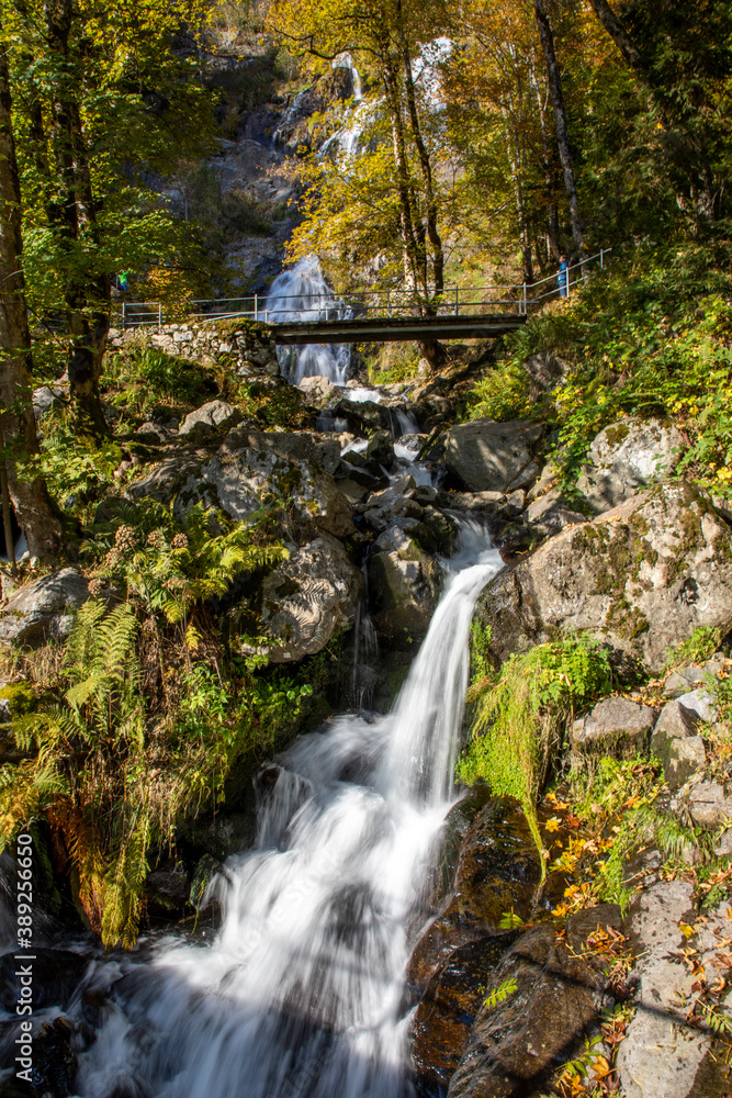 Herbst im Schwarzwald Herbst im Schwarzwald