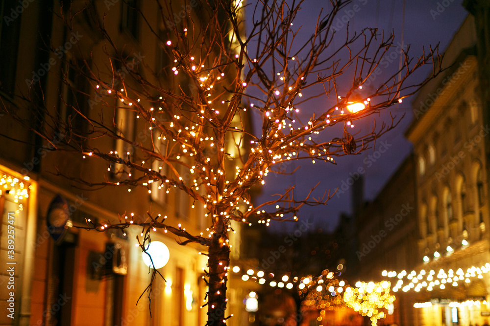 Stylish illuminated tree with warm golden lights, festive decor of street or building front Stylish illuminated tree with warm golden lights, festive decor of street or building front