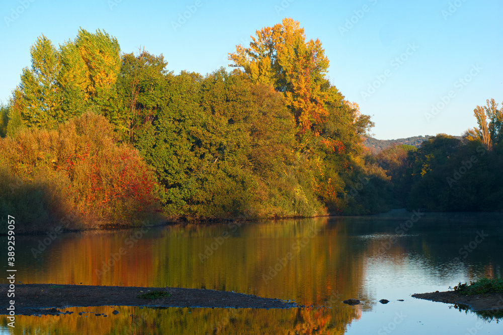 krajobraz rzeka natura drzewa liście woda krajobraz rzeka natura drzewa liście woda