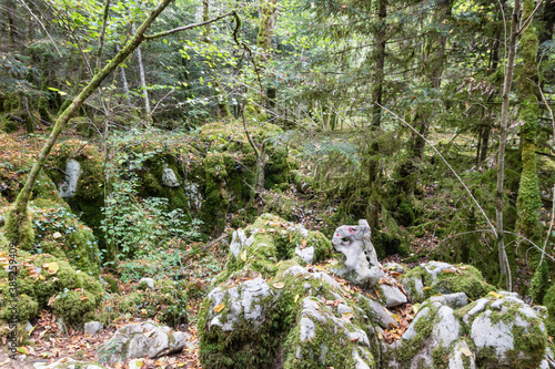 The karstic trail of Malrochers from Jura, France photo