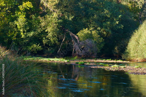 krajobraz rzeka natura drzewa li  cie woda