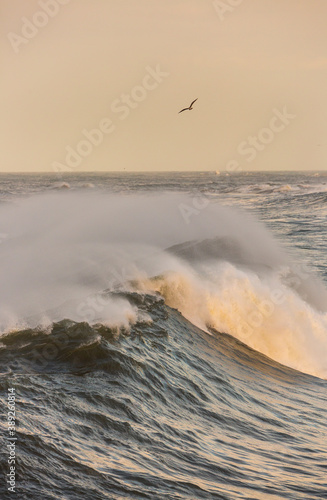 Cape Ogoño, Laga beach, Ibarrangelua, Urdaibai, Cantabrian Sea, Bizkaia, Basque Country, Spain, Europe photo