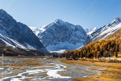 Autumn in the valley of the Akturu river at the foot of the glaciers of the North Chui range. Kosh-Agachsky district, Altai Republic, Russia