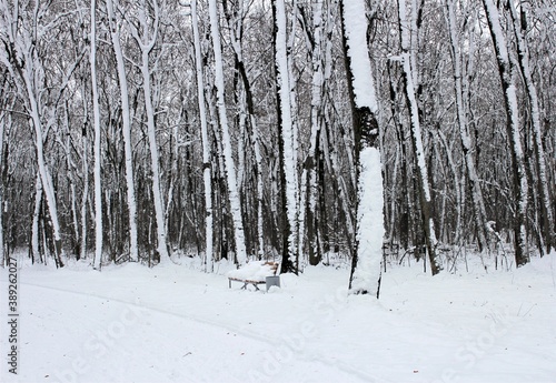Bench under the snow in a winter Park