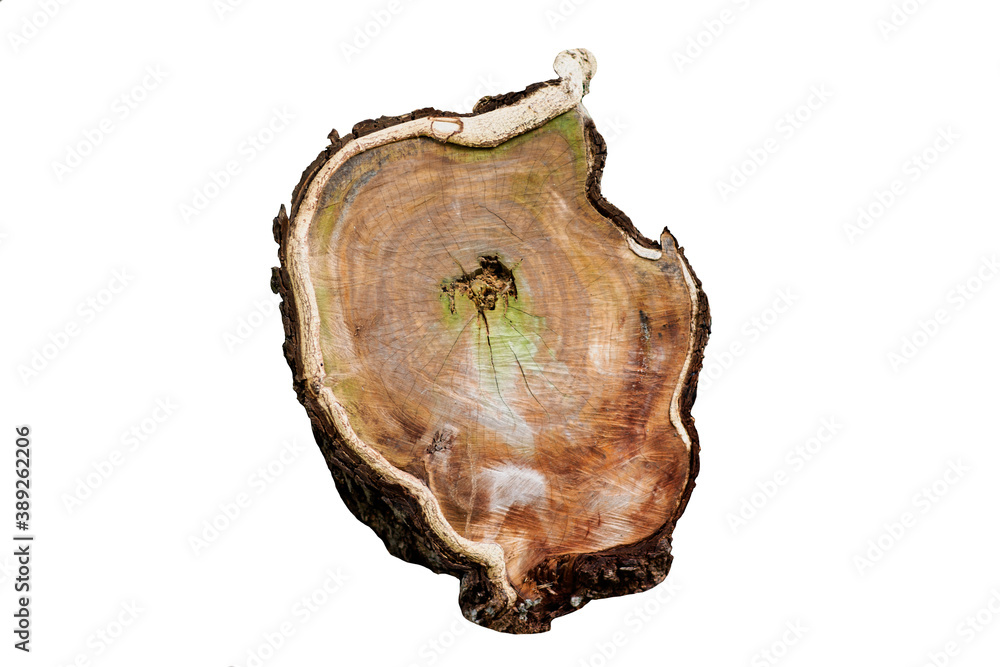 Wooden surface or wooden floor Brown old wood close up Detailed texture of the broken part of the tree on a white background  with clipping path.