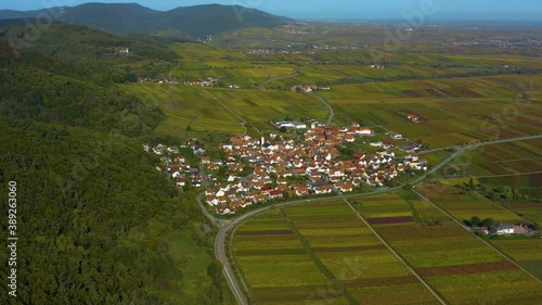 Aerial view of vineyards, houses around the village Burrweiler and Frankweiler in the Pfalz in Germany. On a sunny day in Autumn, fall. photo