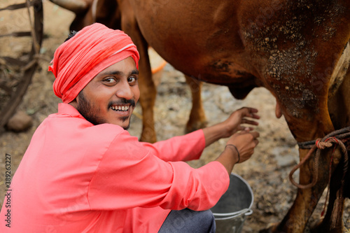 A dairy farmer milking his cow in his local dairy farm, An Indian farming scene.