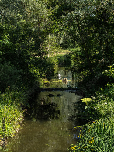 VIEW FROM THE BRIDGE 