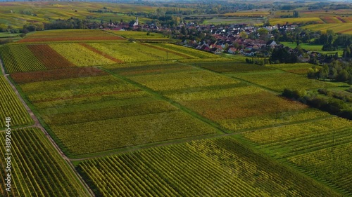 Aerial view of vineyards, houses around the village Burrweiler and Frankweiler in the Pfalz in Germany. On a sunny day in Autumn, fall. photo