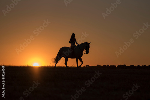 Attractive young Caucasian female with a beautiful dress riding a horse in countryside at sunset © fuen30