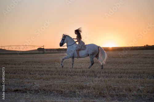Attractive young Caucasian female with a beautiful dress riding a horse in countryside at sunset © fuen30