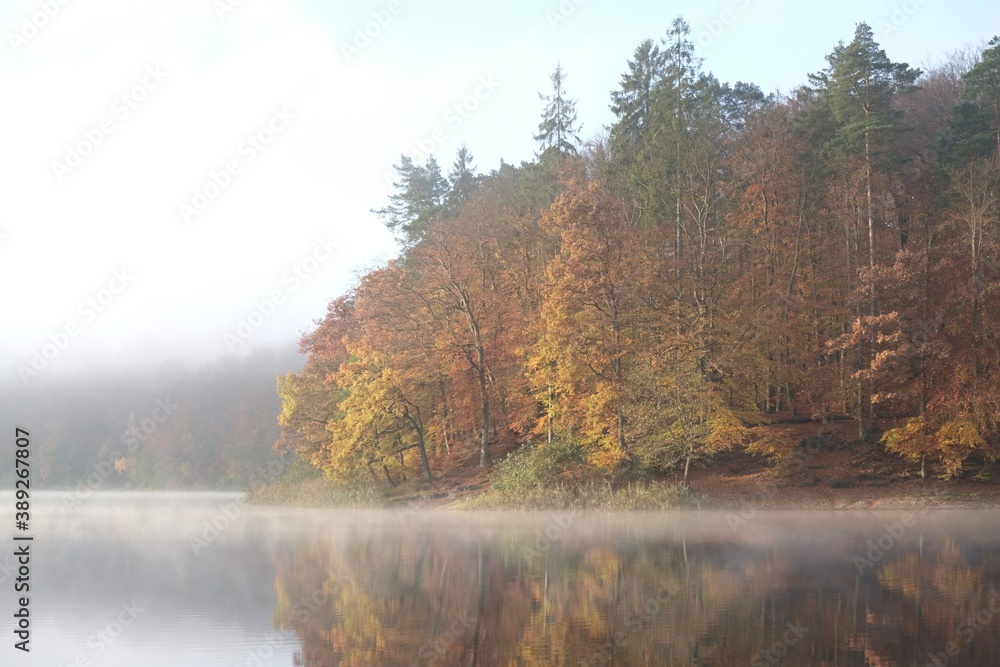 Beautiful landscape with a misty lake and trees in autumn colors and their reflections in water. Otomin Lake, Kashubia, Poland