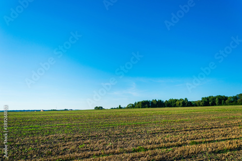 A harvested field