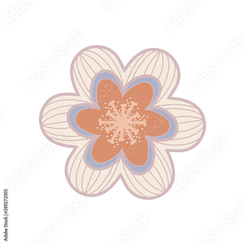 Vector illustration of pink sakura flower. Delicate botanical design element for the decoration of greeting cards and invitations. A romantic, delicate and feminine flower for a cute design