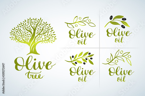 Natural olive oil tree logo for olive grove. Olive Oil Logo set and brush lettering , label, organic product. Vector olive branch with leaf and drupe, vector logo