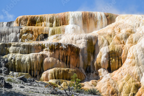 Mammoth Hot Springs Terrace, Yellowstone National Park and Preserve, USA. 