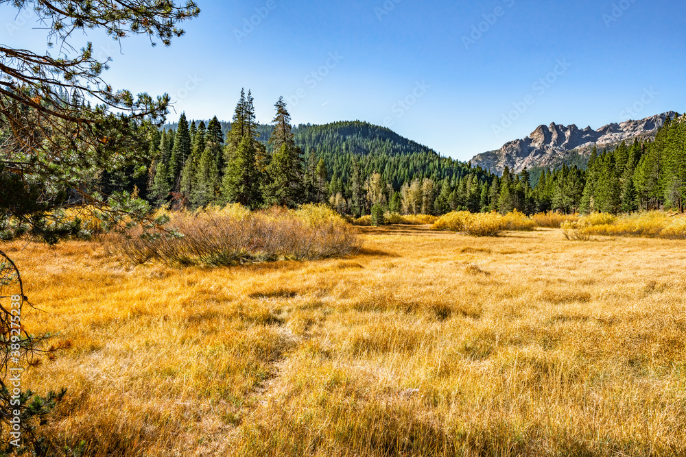 Autumn scenery of the Sierra Buttes from an open field in Bassets, CA