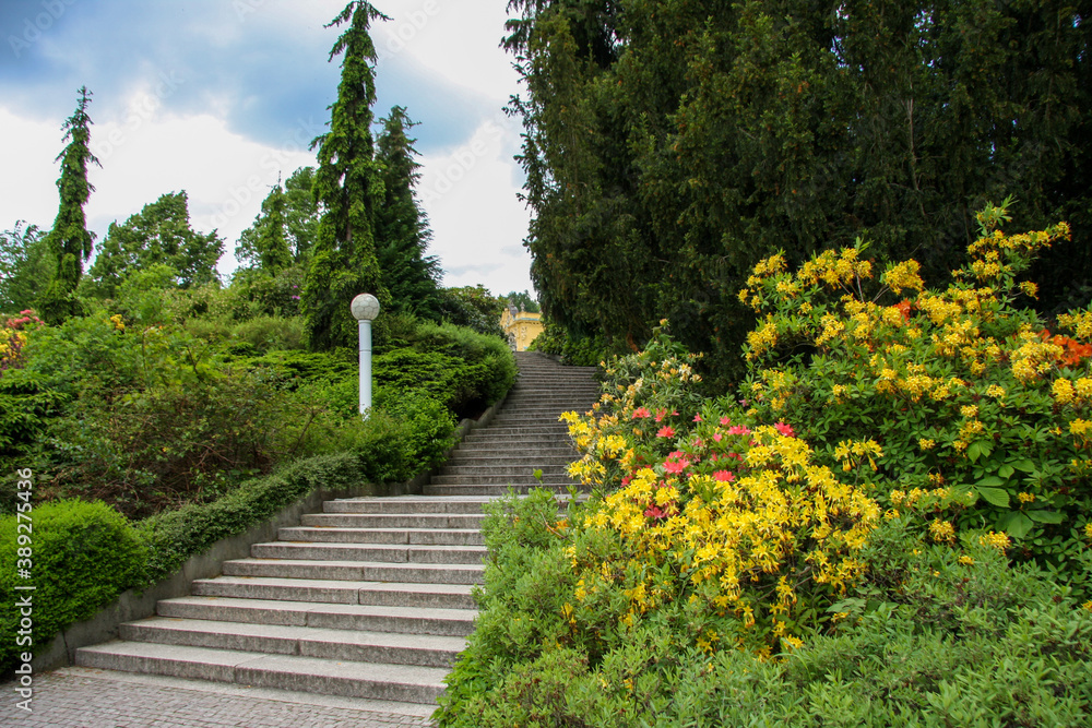High stairs in the city park