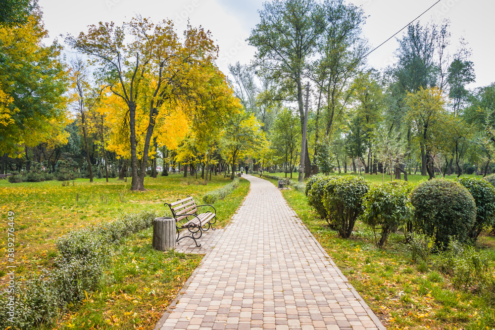 Early autumn park. Autumn park with cleaned leaves in flower beds. Path and benches to the autumn park