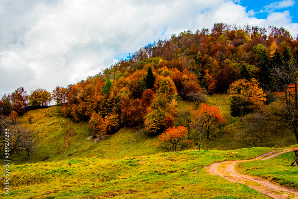 Naklejka premium all shades of autumn