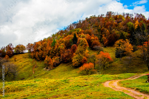 Fototapeta Naklejka Na Ścianę i Meble -  all shades of autumn