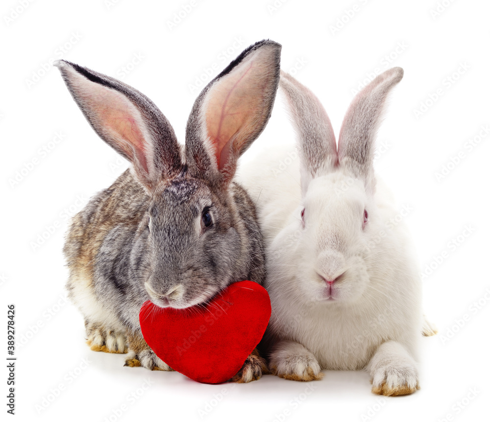 Two rabbits with toy heart. Two rabbits with toy heart.