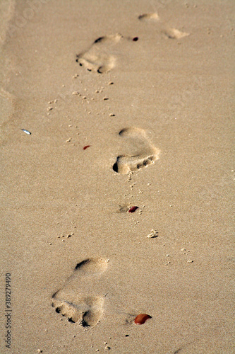 Footprints in sand. Mark of human presence.  