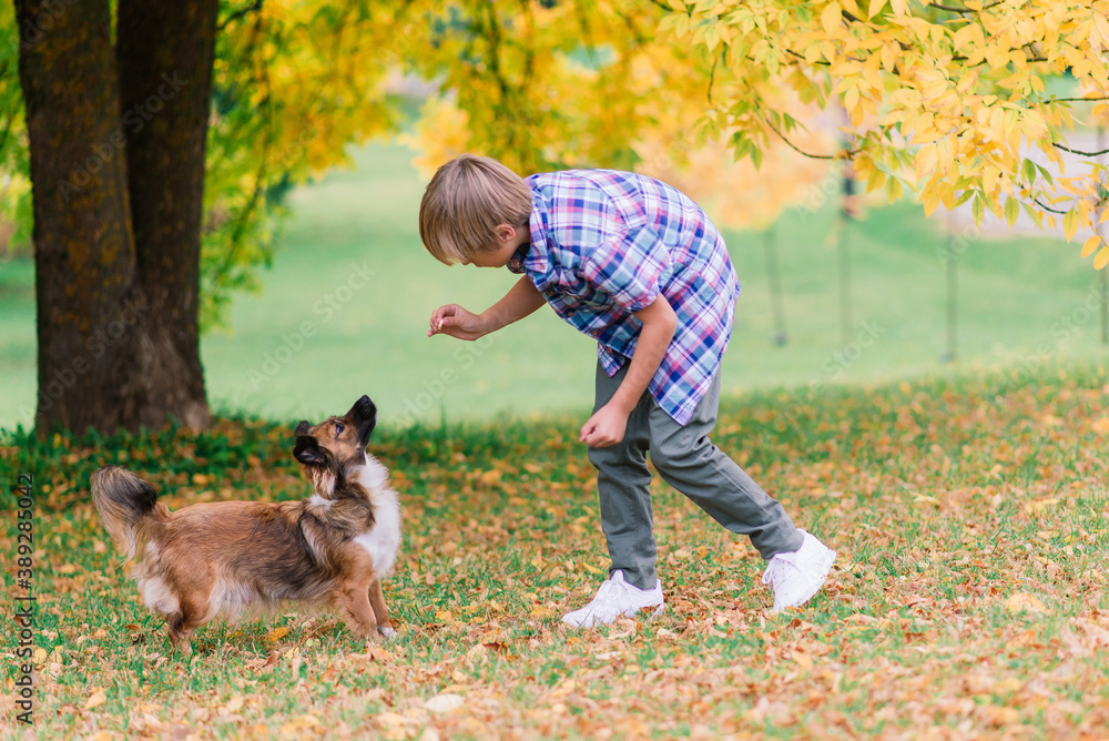 Cute boy playing and walking with his dog in a meadow.