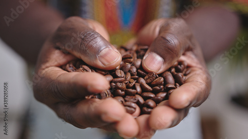Close up, black man hands holding coffee beans. High quality photo