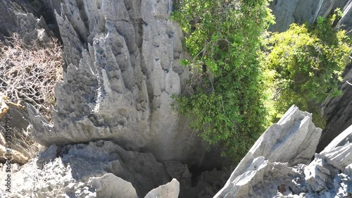 Revine Between Limestone Forest Peaks, Tsingy de Bemaraha, Madagascar
