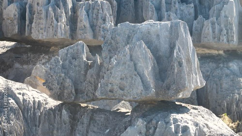 Unique Rock Formations in Limestone Forest, Tsingy de Bemaraha, Madagascar