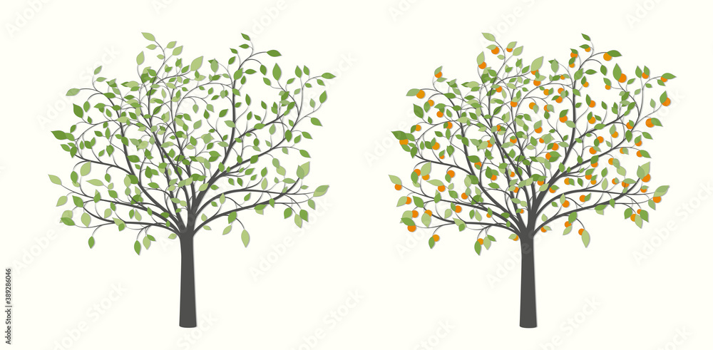 Drawing of a tree with green leaves and red fruit in two versions