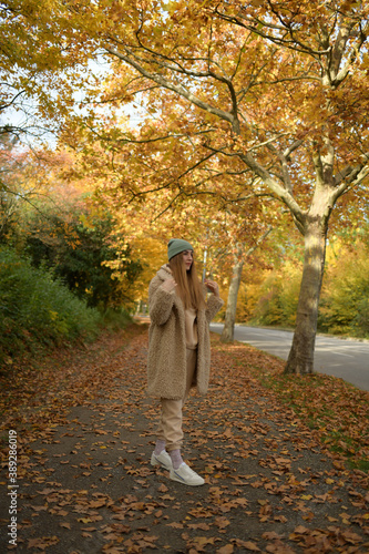 schöne Frau posiert im Park. Das Bild der Natur im Herbst, vergilbte Blätter, abgefallene Blätter photo