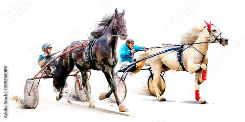 Bilde på lerret Horse race competition derby