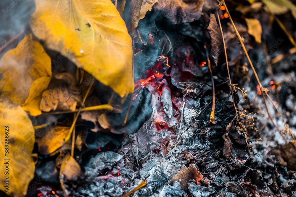Burning. Autumn bonfire with smoke. Yellow leaves in the smoke. Burning. Autumn bonfire with smoke. Yellow leaves in the smoke.