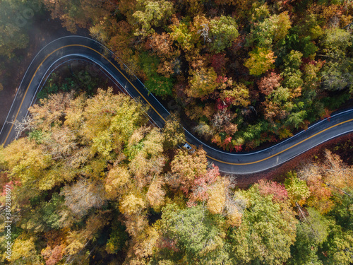 Fotografie, Tablou Aerial View of the Tail of the Dragon road near the Tennessee and North Carolina
