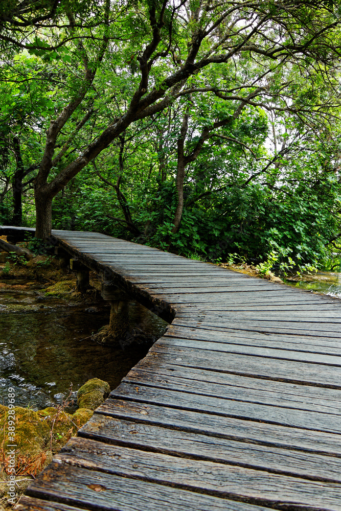 view on an old wood footbridge crossing a river in the forest view on an old wood footbridge crossing a river in the forest