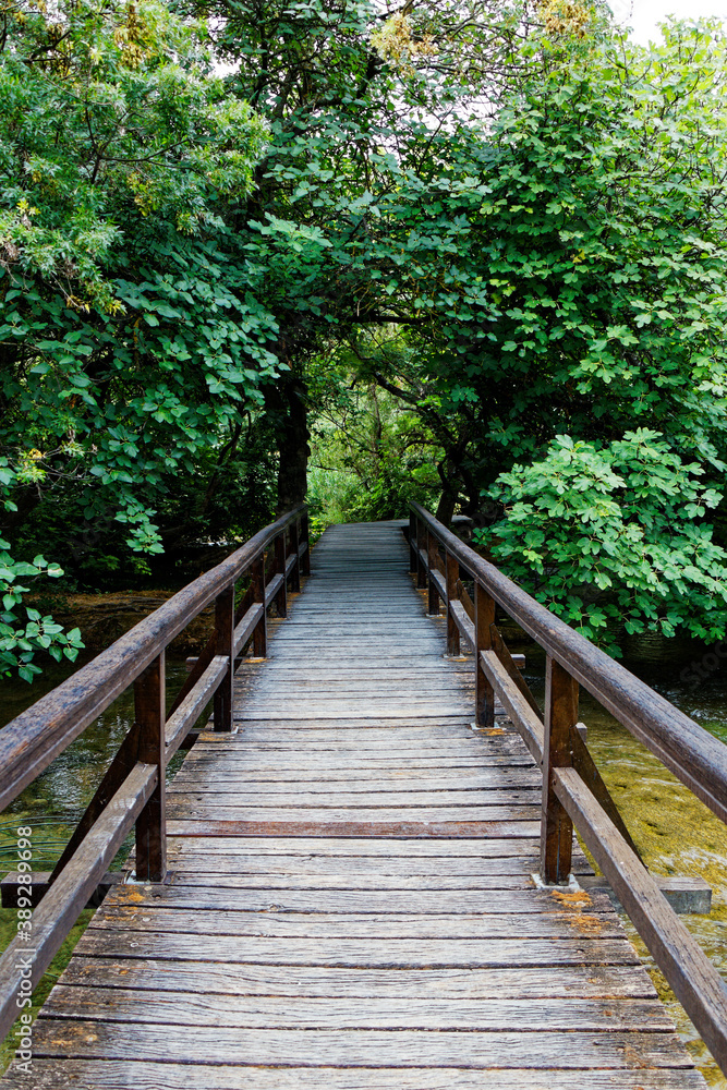 view on an old wood footbridge crossing a river in the forest view on an old wood footbridge crossing a river in the forest