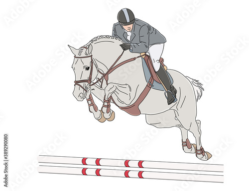 Equestrian competitions, vector color illustration of a rider on a horse