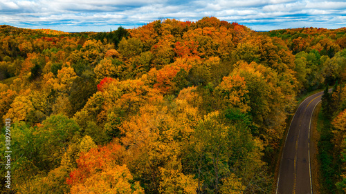 Back Country Road in Fall Forest © Noah