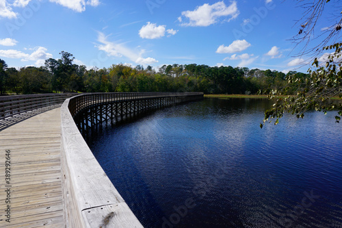 Curving boardwalk over Lake Wilson in North Carolina photo