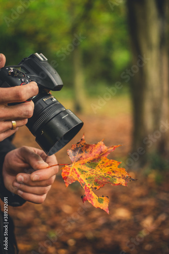 Photographing the Autumn, camera, DSLR, leaf,  close up, Ironbridge, England, Europe