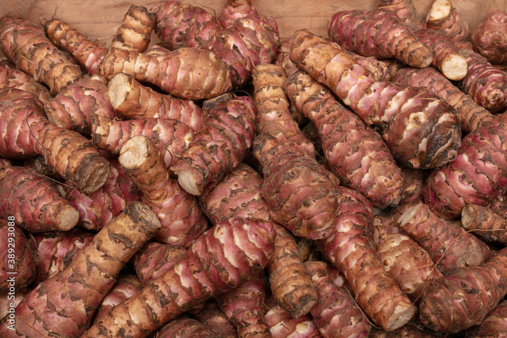 Pile of red Jerusalem artichokes Pile of red Jerusalem artichokes