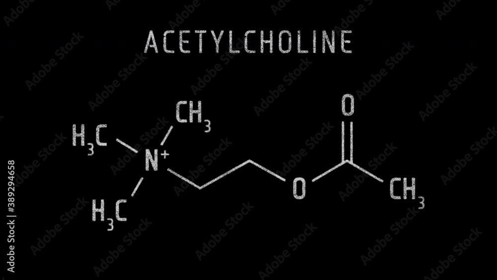 Acetylcholine or ACh Molecular Structure Symbol Sketch or Drawing Animation on black background and Green Screen Acetylcholine or ACh Molecular Structure Symbol Sketch or Drawing Animation on black background and Green Screen